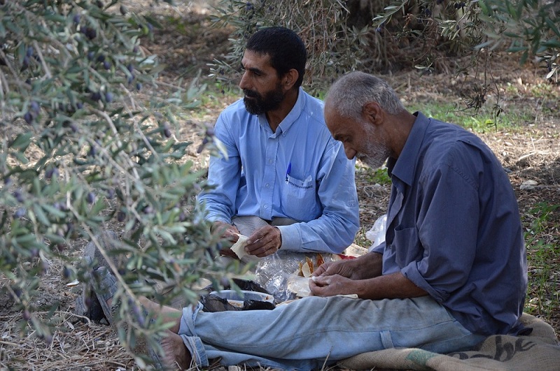 Hombres sirios en Olivar