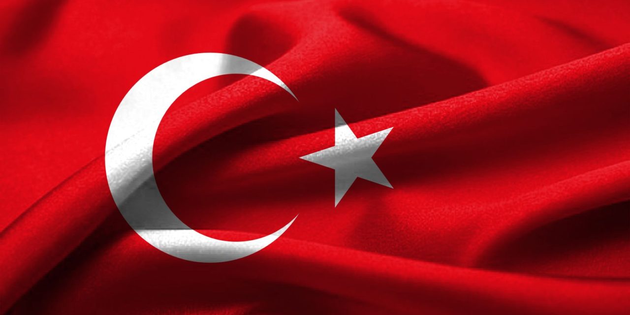 Conociendo a nuestros vecinos VIII: Variedades de aceite y aceituna de Turquía