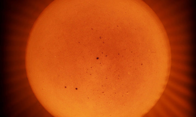 Él cuida de ti, cuida tu AOVE.