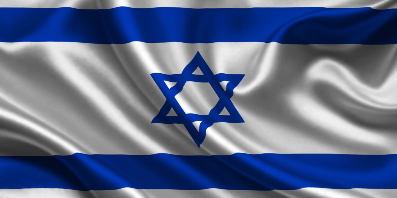 Conociendo a nuestros vecinos X: El Olivo en Israel
