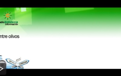 Entre Olivos (Canal Sur)