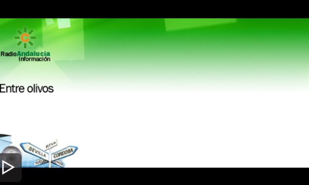 Entre Olivos (Canal Sur)