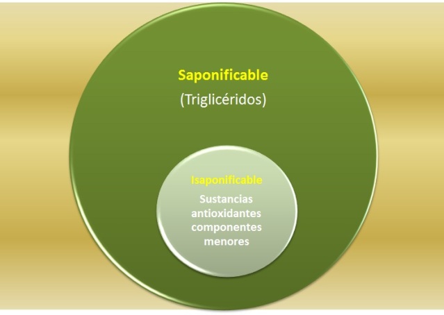 Parte Saponificable