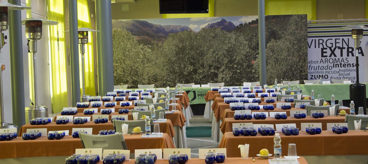 ¿En qué consiste un concurso de cata de aceite de oliva virgen extra?  Te lo contamos.