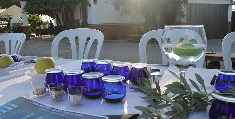 La experiencia de una cata de AOVE nocturna