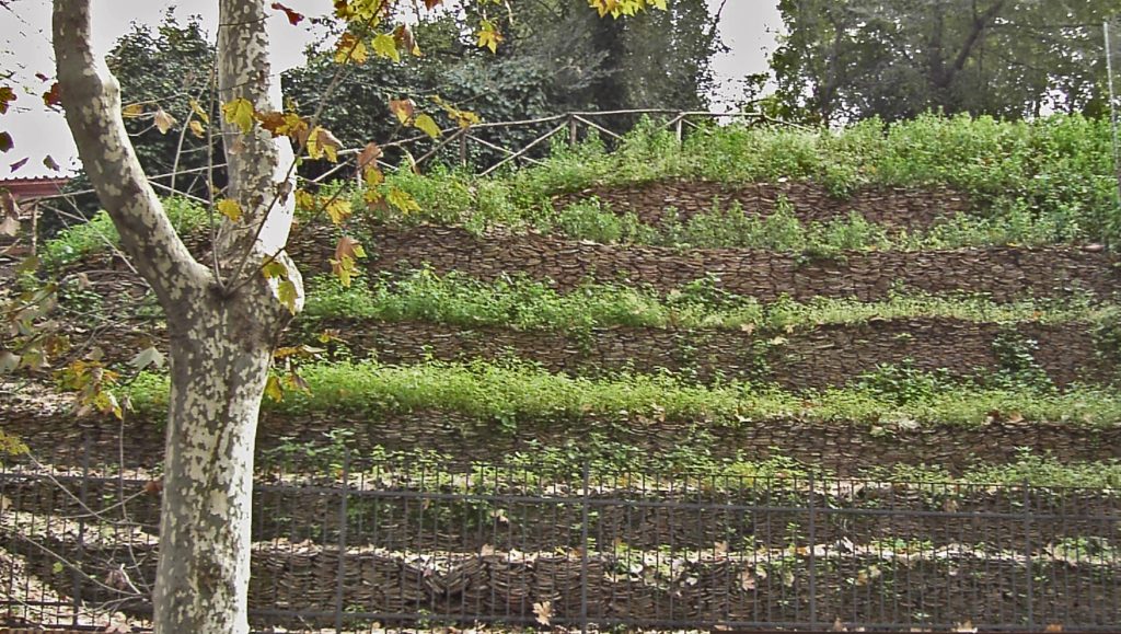Monte Testaccio
