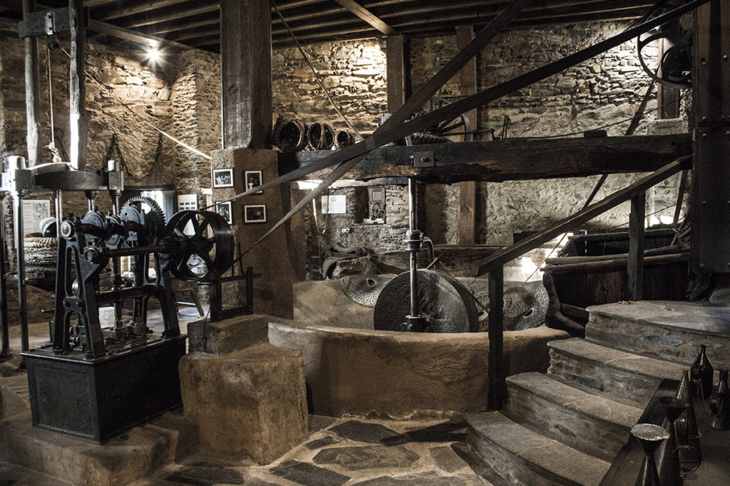 Interior Museo